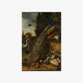 Peacocks by Melchior d' Hondecoeter - thumbnail_0_nf_6731c4f712f9211d49d3d7c2